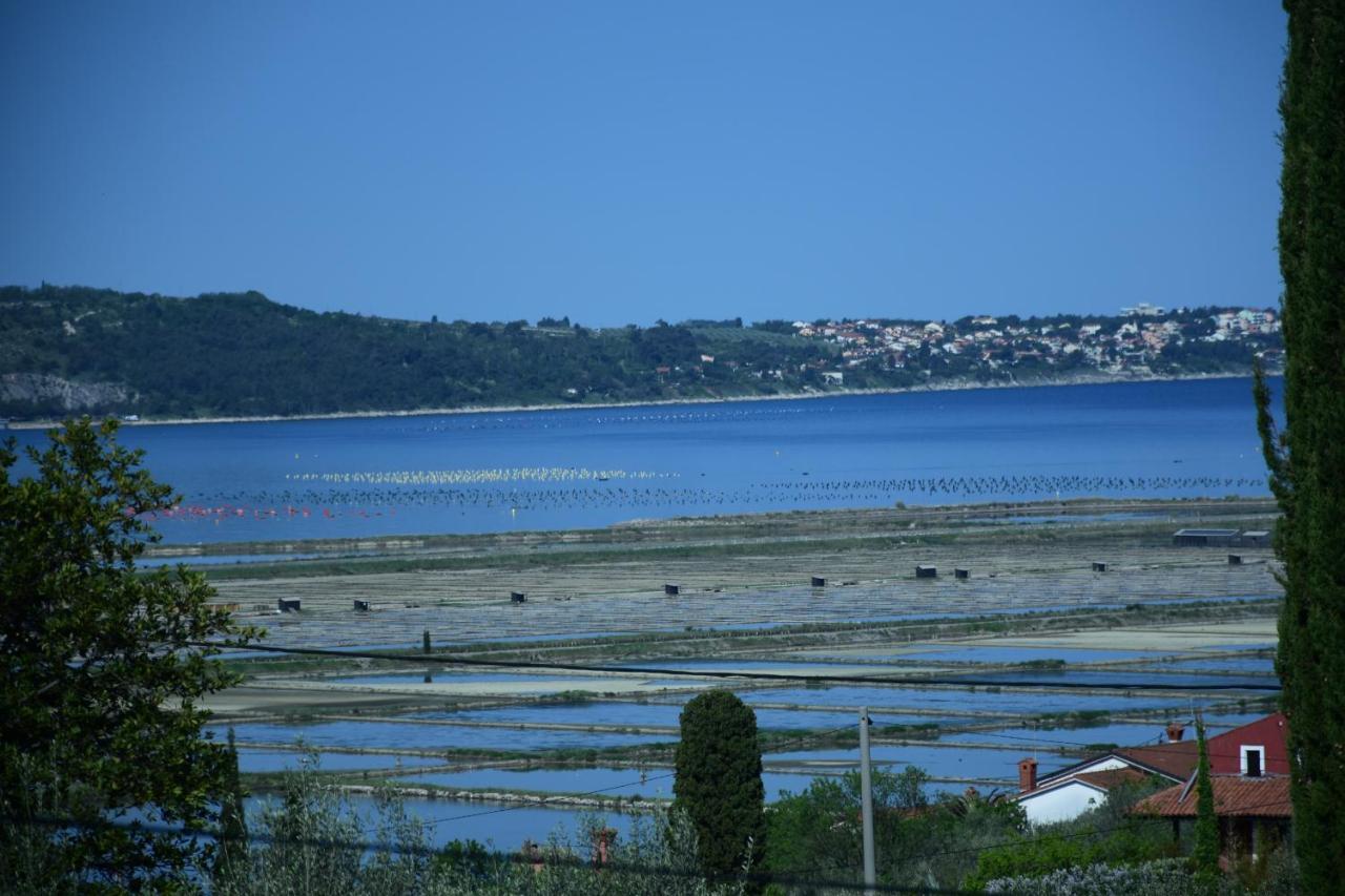 Apartment Pergola Portorož Buitenkant foto